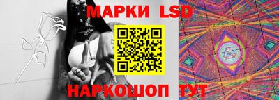 mdpv Славгород