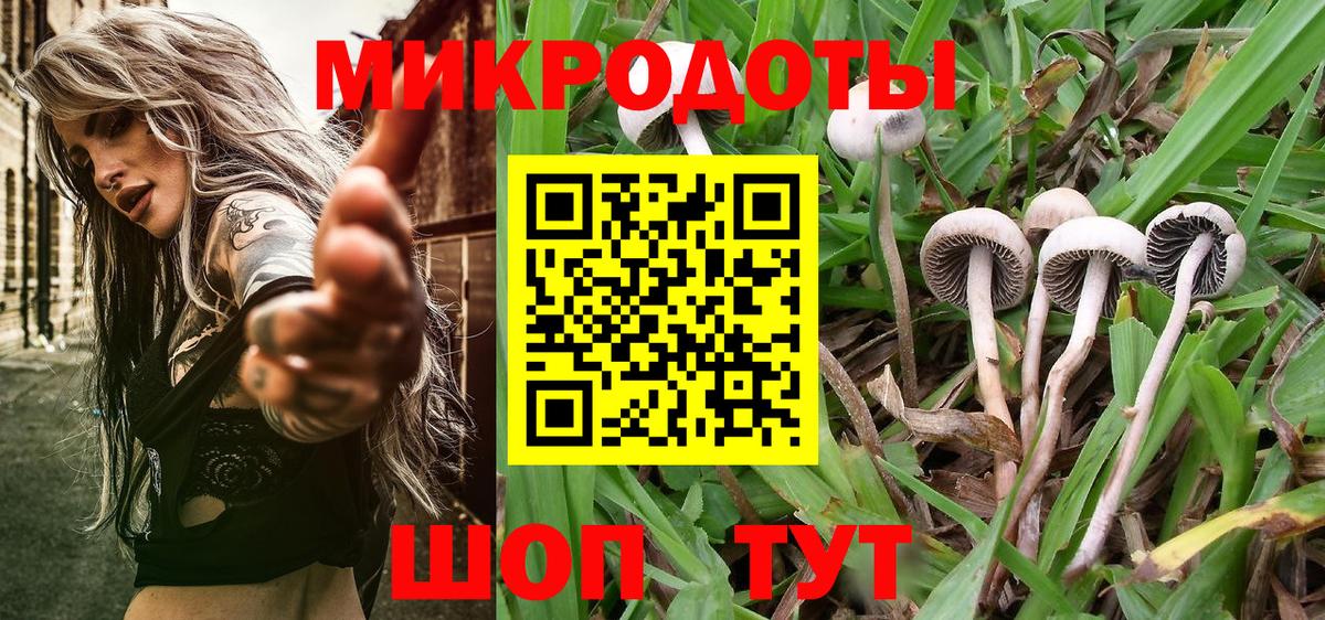 Псилоцибиновые грибы Psilocybine cubensis Павлово