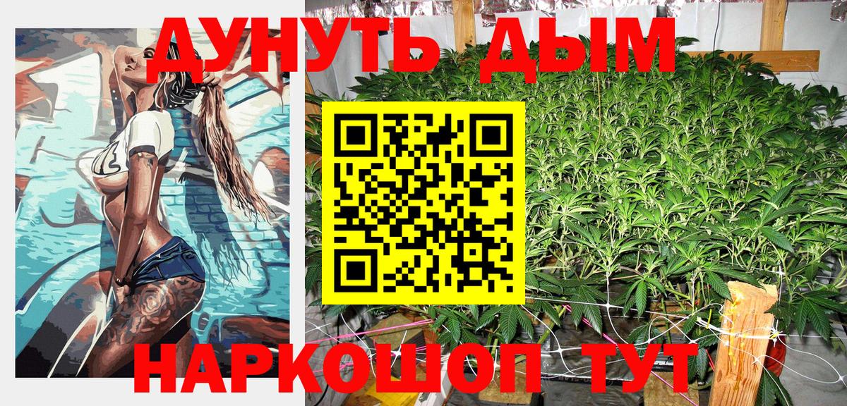 Конопля индика Павлово